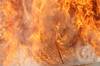 feuer