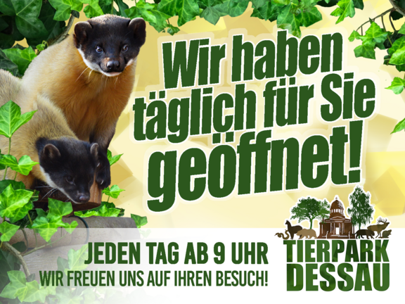 TP allgemein