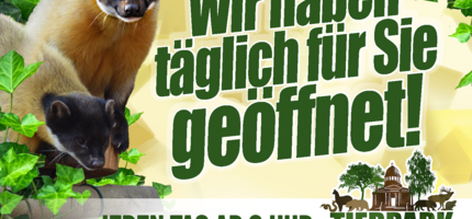 TP allgemein